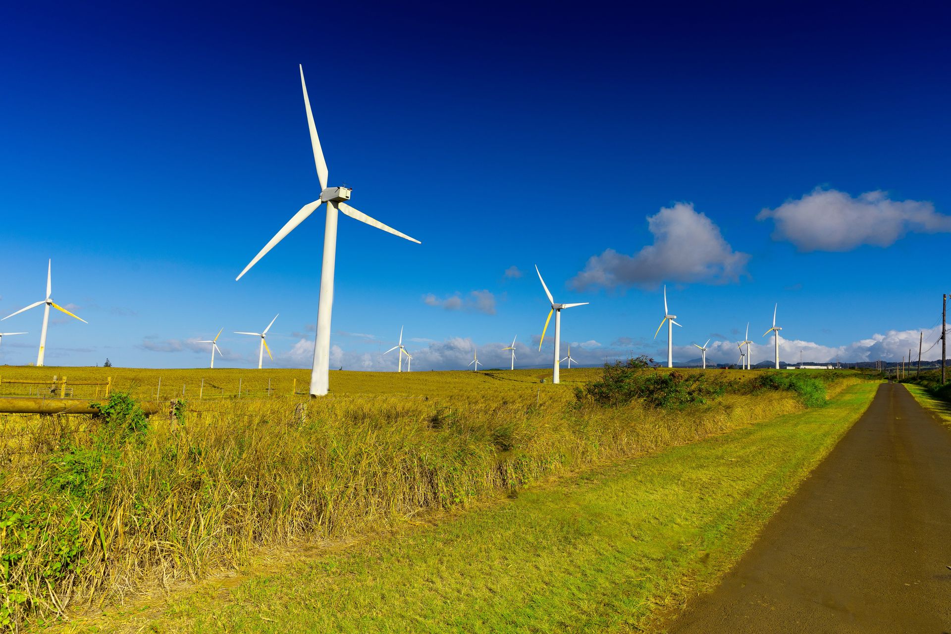 Wind power field