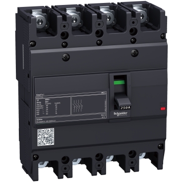 circuit breaker, EasyPact EZC250N, TMD, 250A, 4 poles 3d