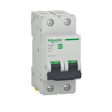 [EZ9F32210] Disjoncteur S/R Bipolaire 2 Pole 10A . EASY9  . Schneider